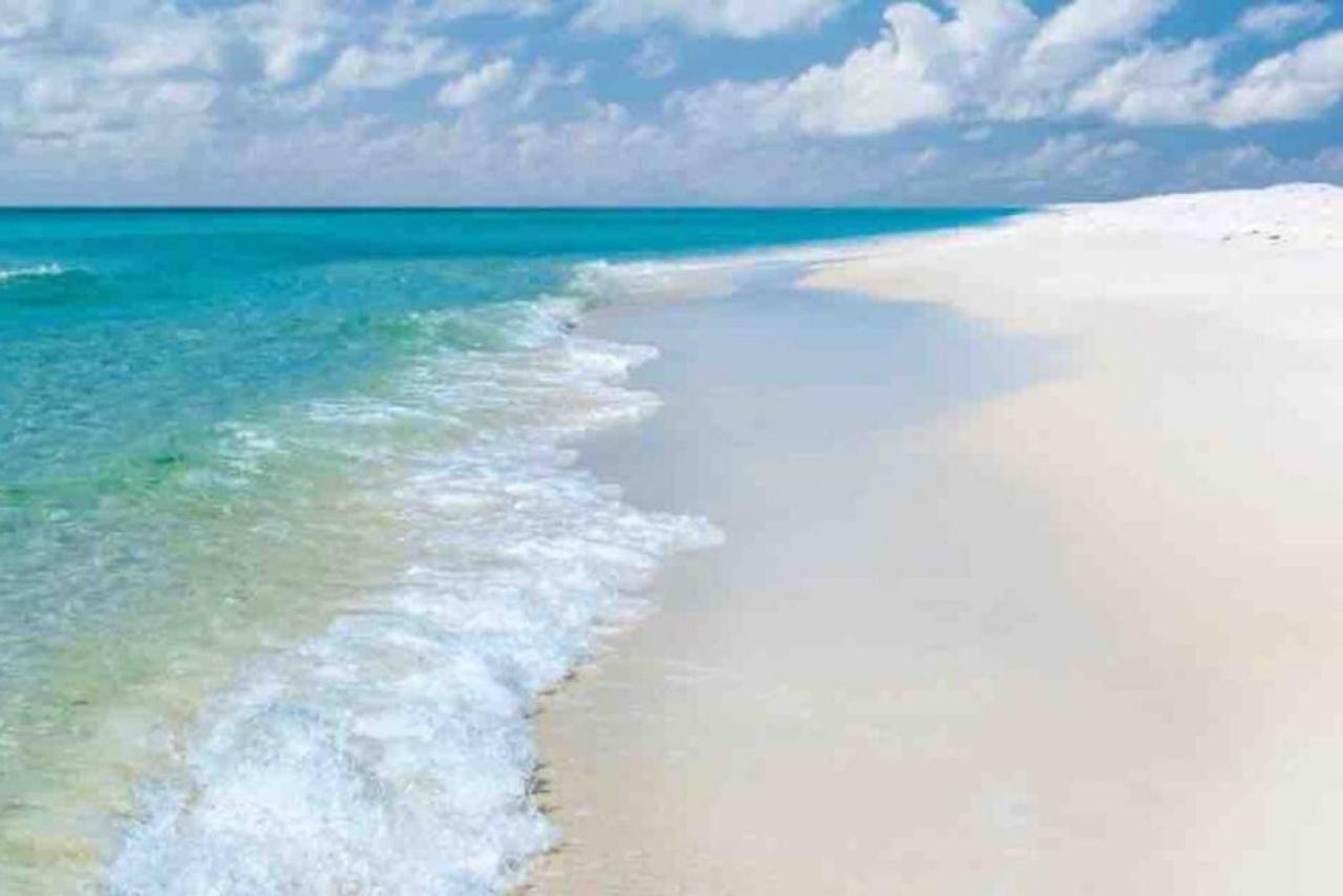 Walk To Downtown Seafood Market Bay Views Pensacola Exteriör bild